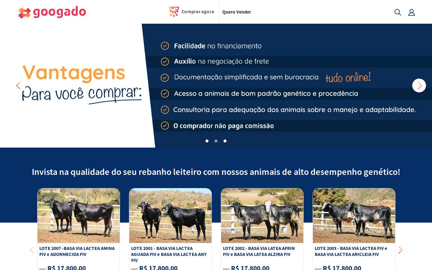 googado.com.br homepage screenshot