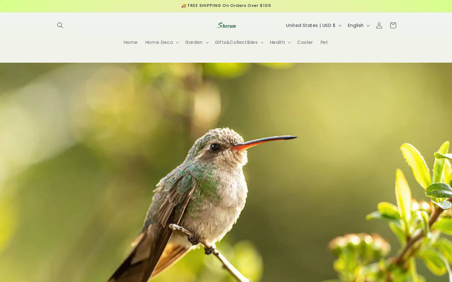 goowebs.com homepage screenshot