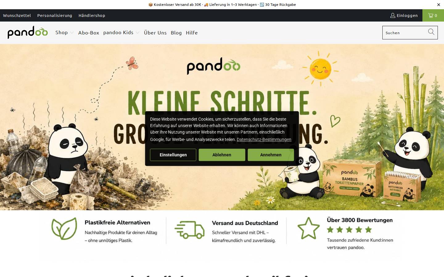 pandoo GmbH homepage screenshot