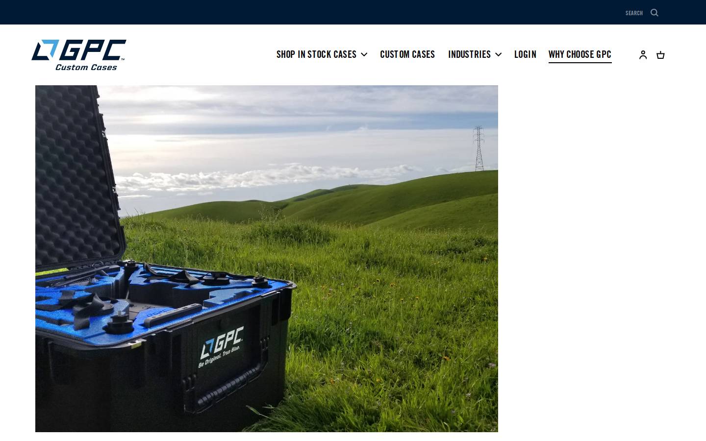 goprofessionalcase.com homepage screenshot