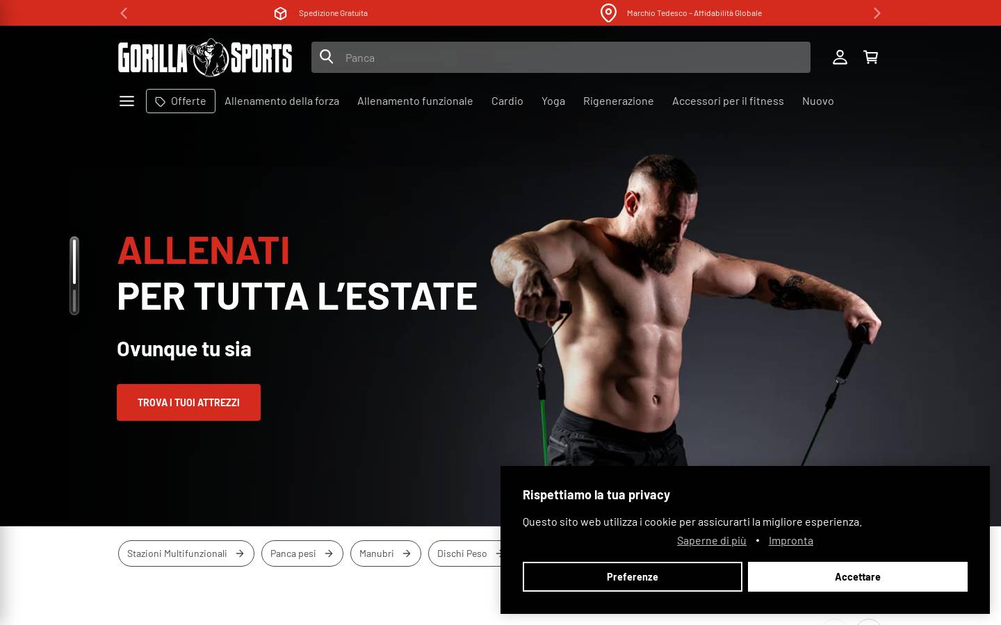 Gorilla Sports IT homepage screenshot