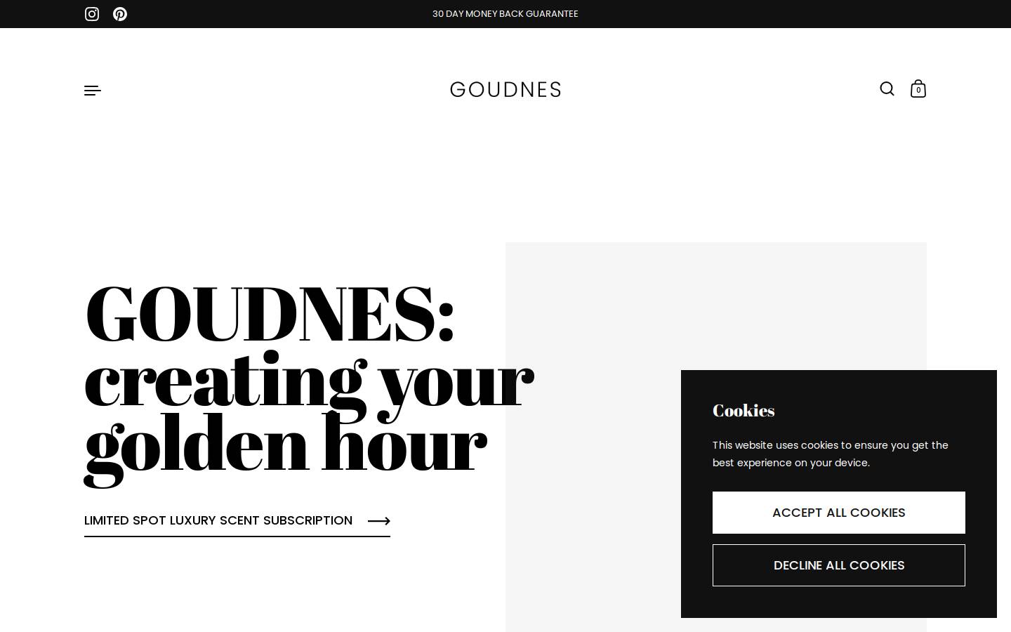 goudnes.com homepage screenshot