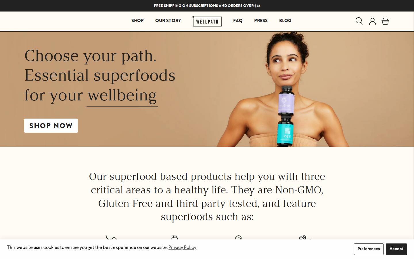 Gowellpath homepage screenshot