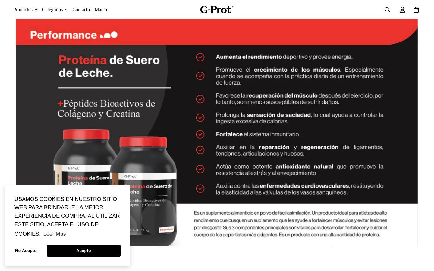gprot.com.mx homepage screenshot