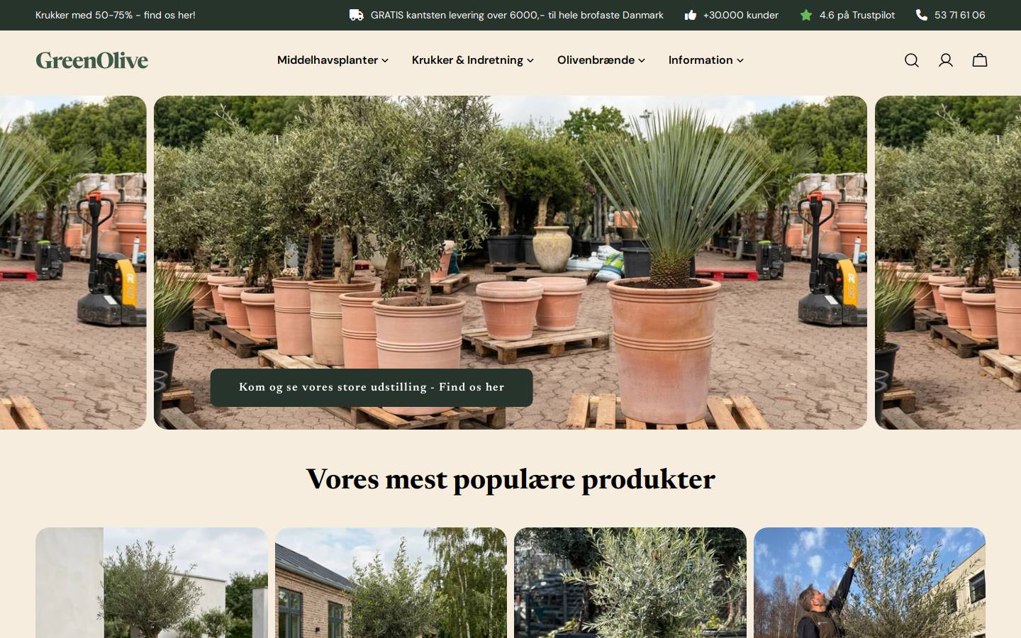 Greenolive homepage screenshot