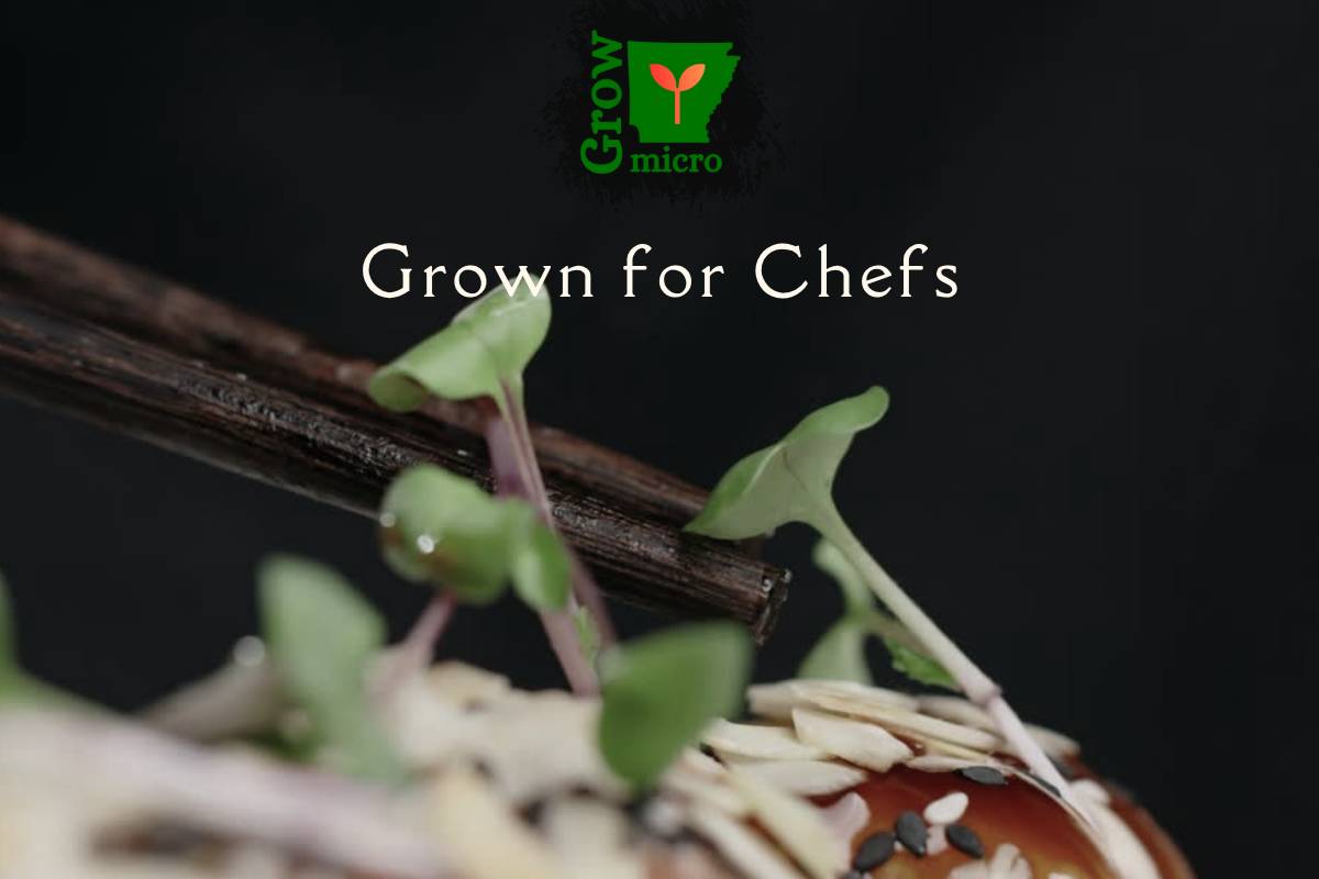 growmicro.net homepage screenshot