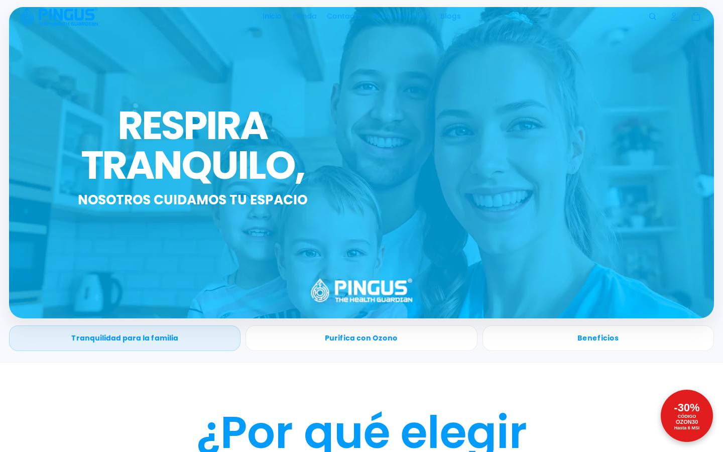grupopingus.com homepage screenshot
