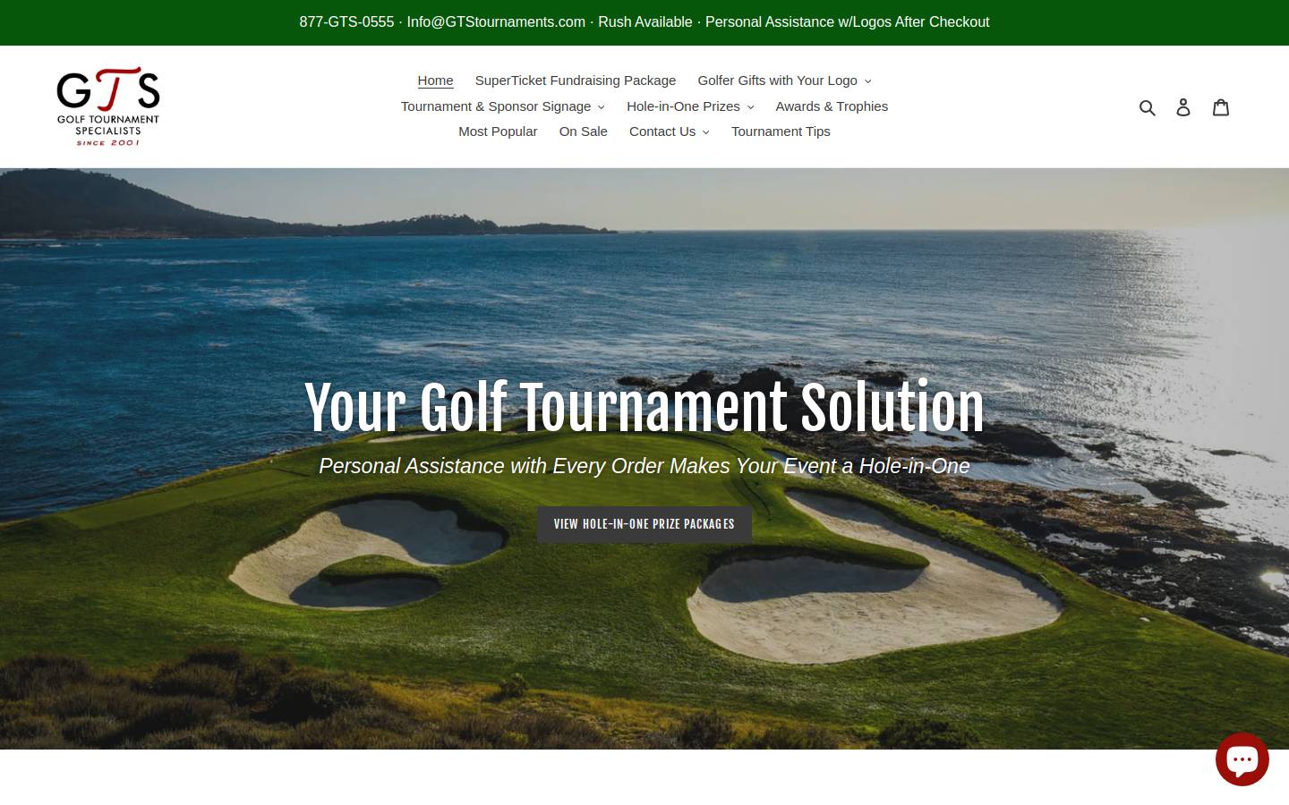 gtspecialists.com homepage screenshot