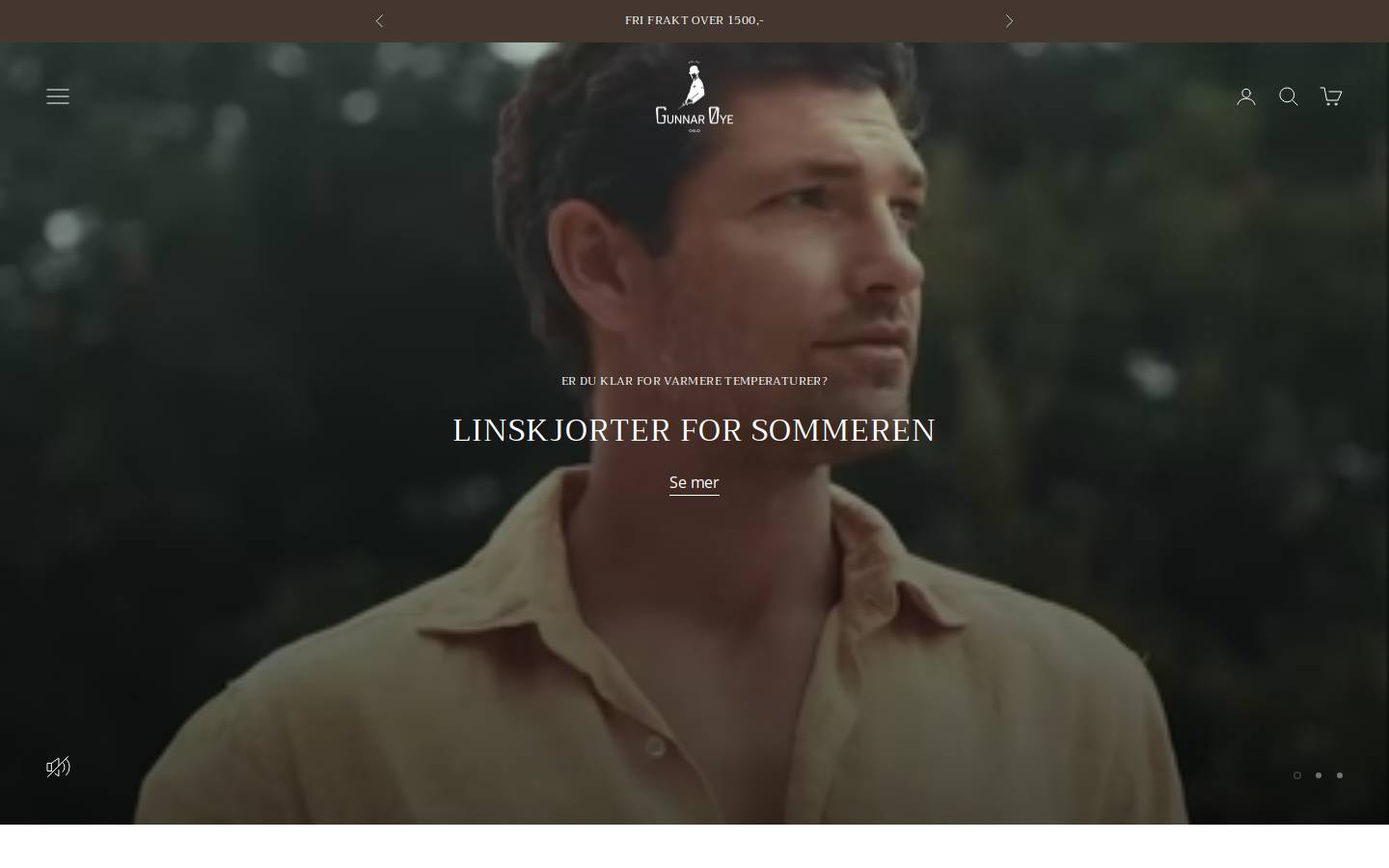 gunnaroye.no homepage screenshot