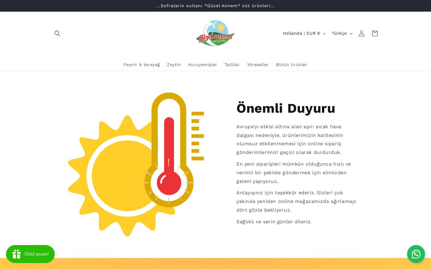 guzelyayla.nl homepage screenshot