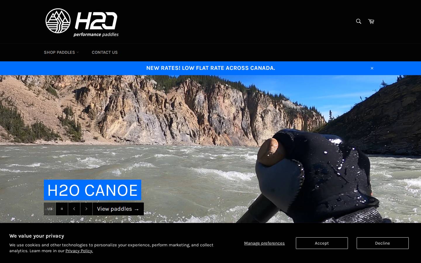 h20paddles.com homepage screenshot