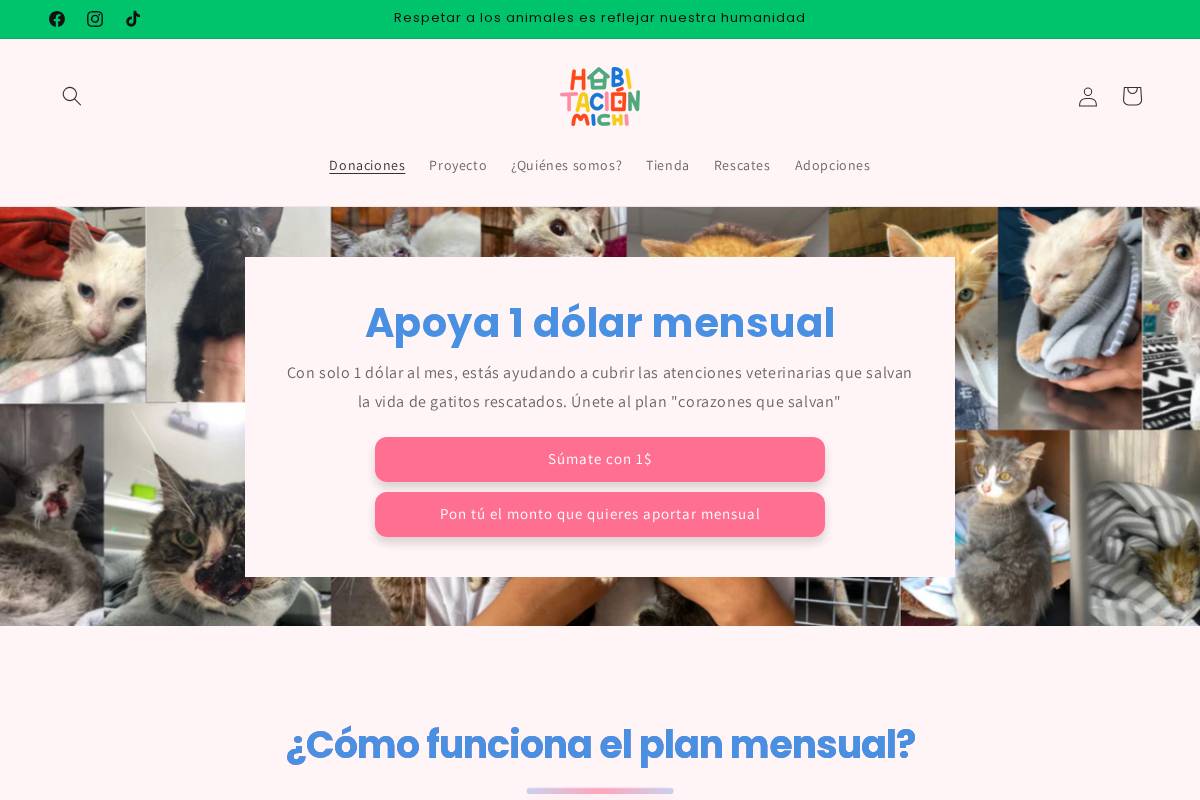 habitacionmichi.com homepage screenshot