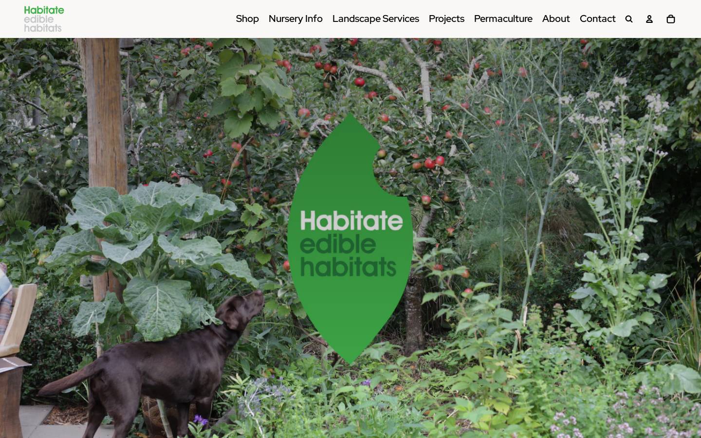 habitate.co.nz homepage screenshot