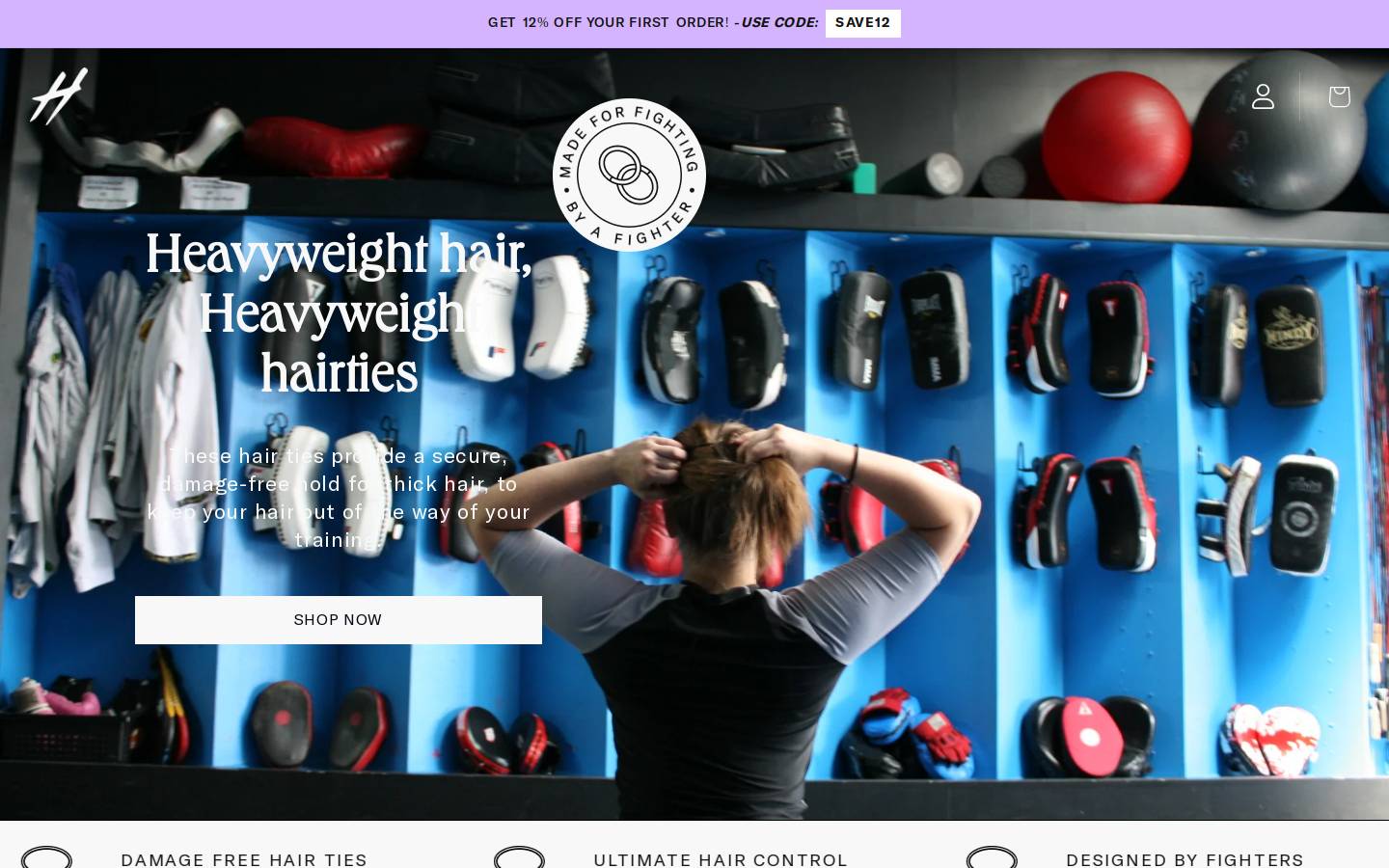 hairtiesforthickhair.com homepage screenshot
