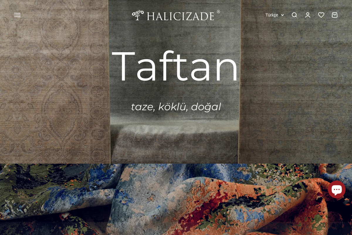 HALICIZADE homepage screenshot