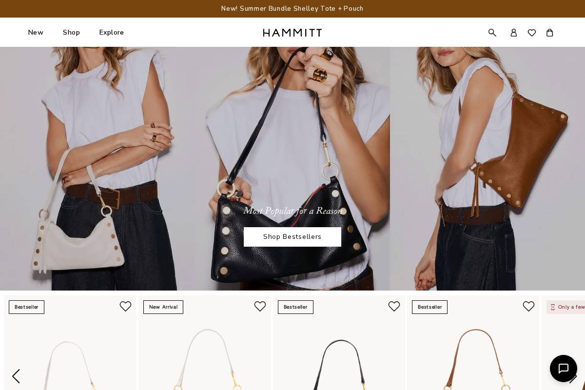 hammitt.com homepage screenshot