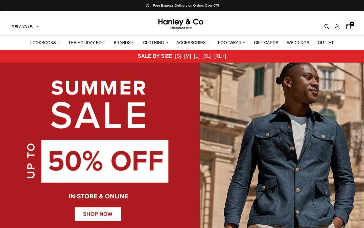Hanley & Co  homepage screenshot