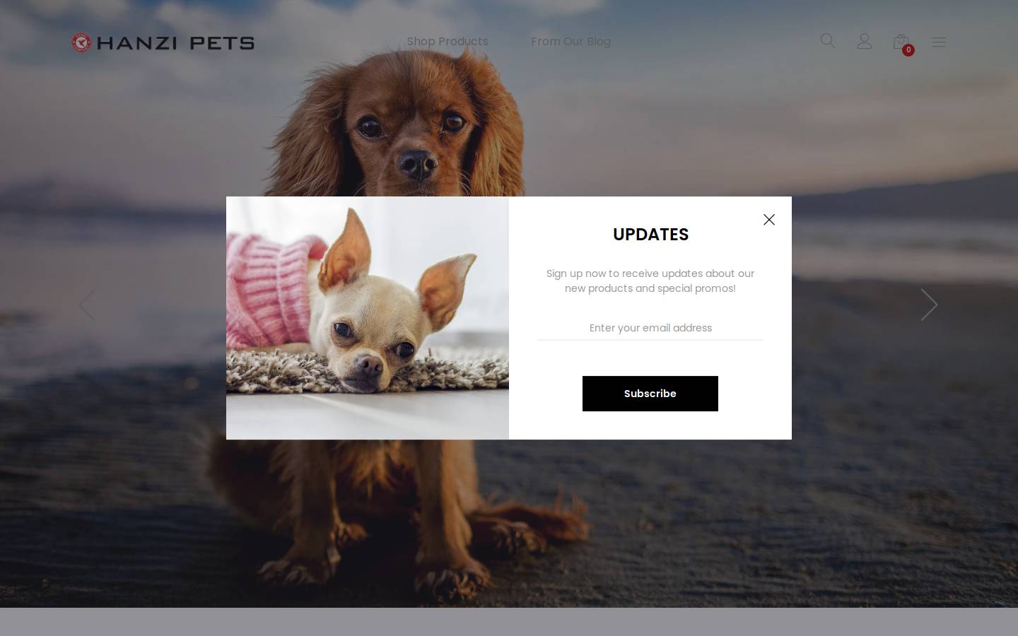 hanzipets.com homepage screenshot