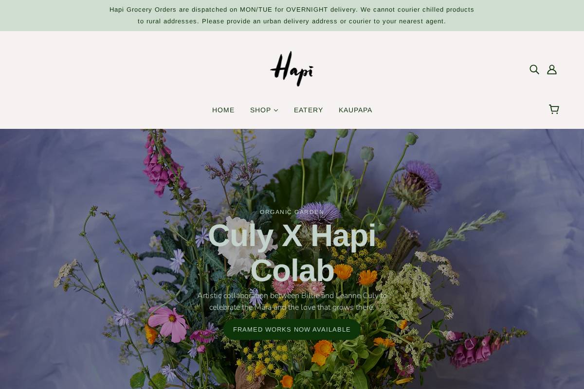 hapi.com homepage screenshot