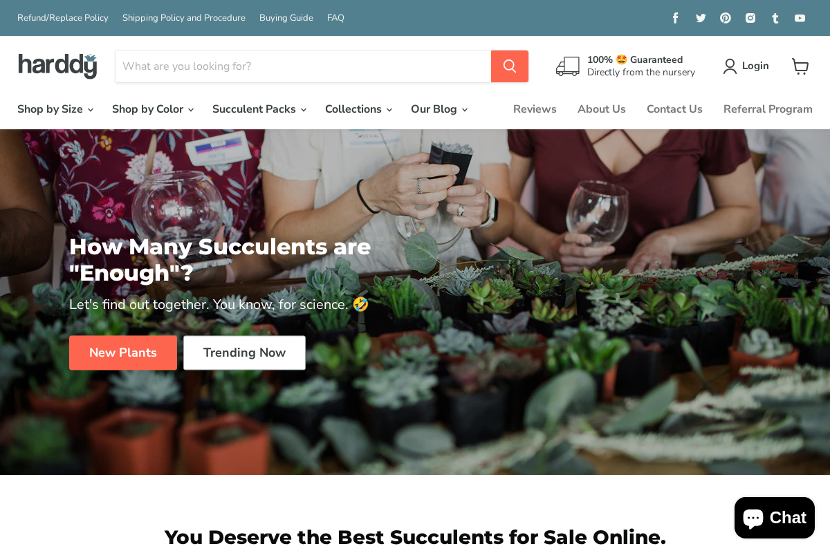 Harddy Succulents homepage screenshot