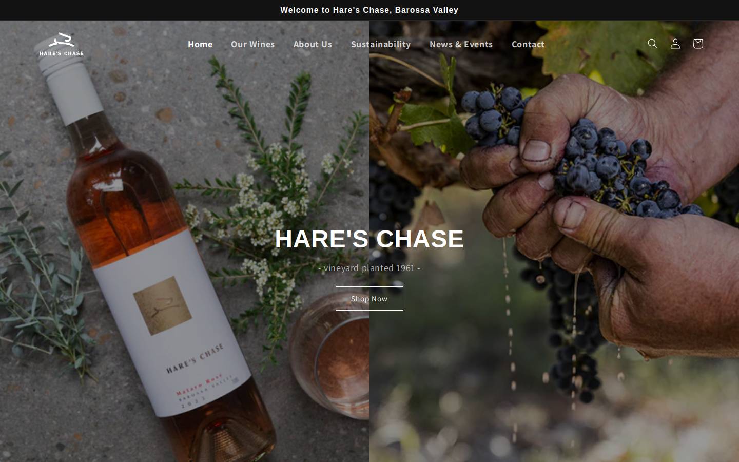 hareschase.com homepage screenshot
