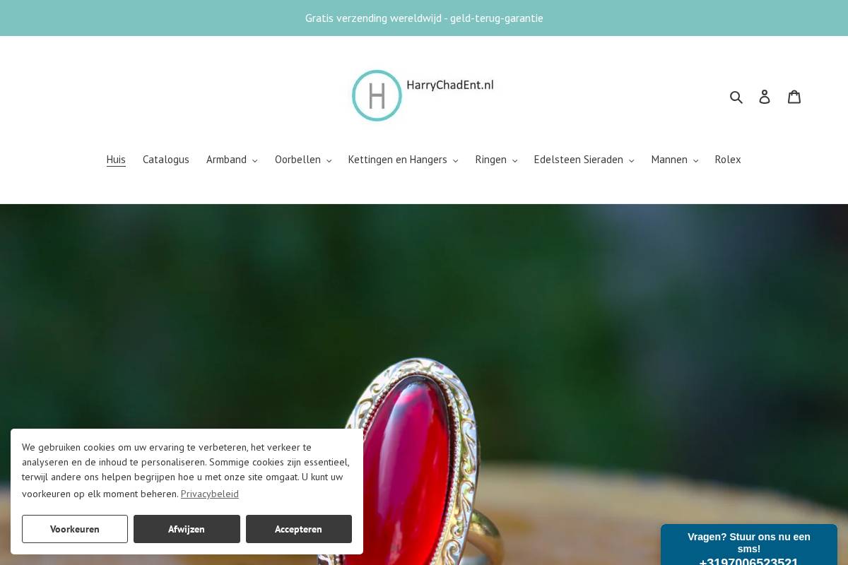 harrychadent.nl homepage screenshot