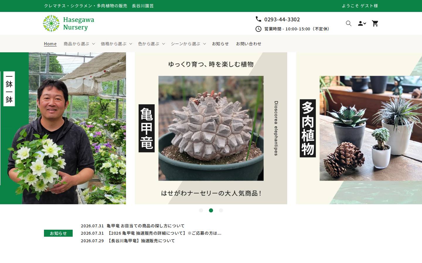 hasegawa-nursery.net homepage screenshot