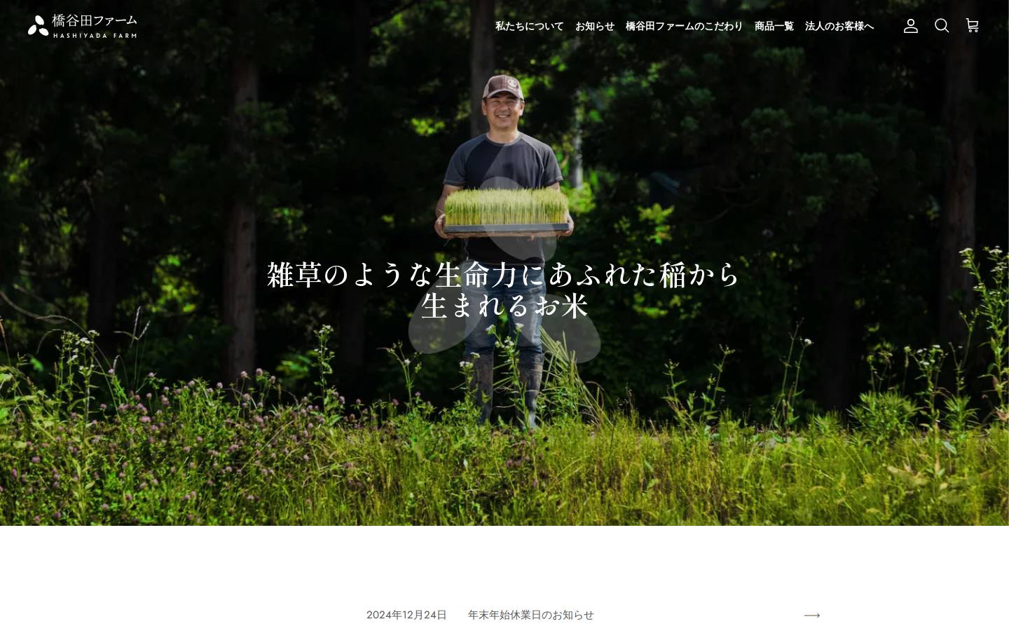 hashiyadafram.jp homepage screenshot