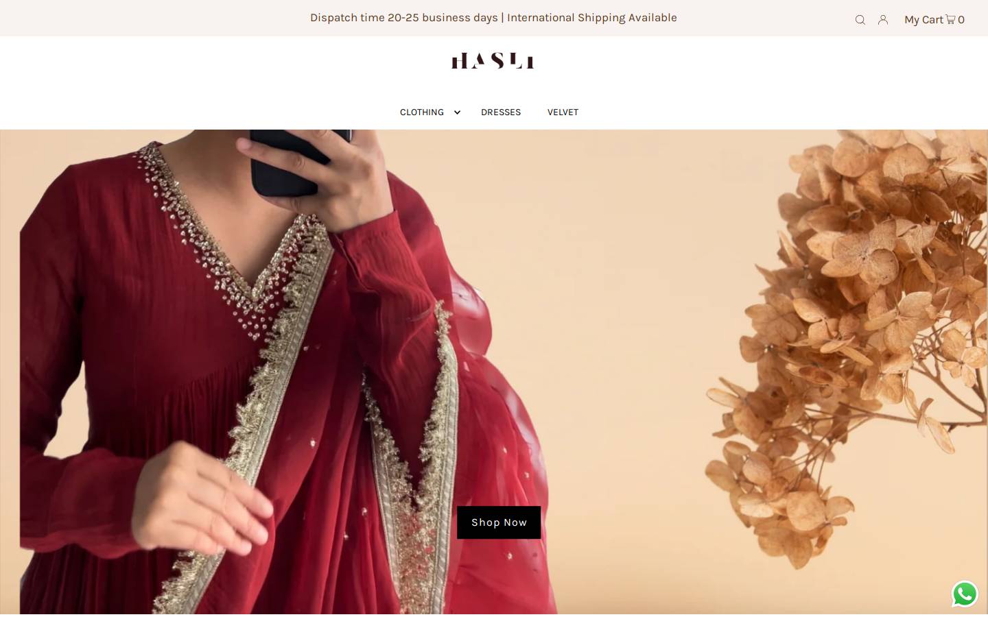 hasli.in homepage screenshot