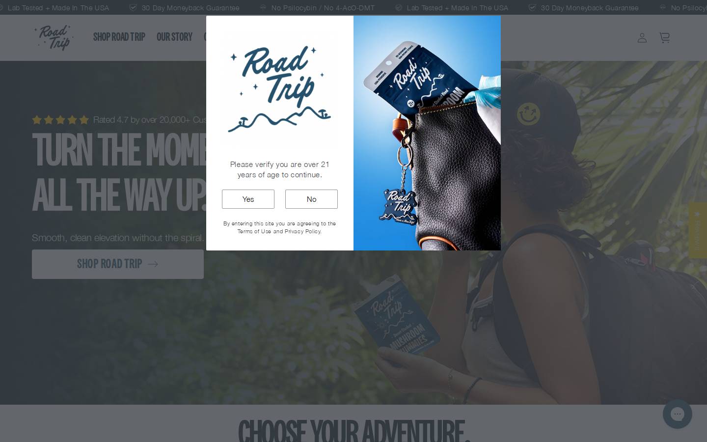 haveanicetrip.com homepage screenshot