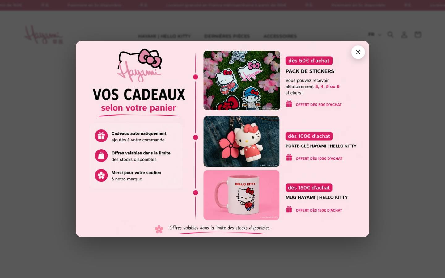 Hayami Shop homepage screenshot