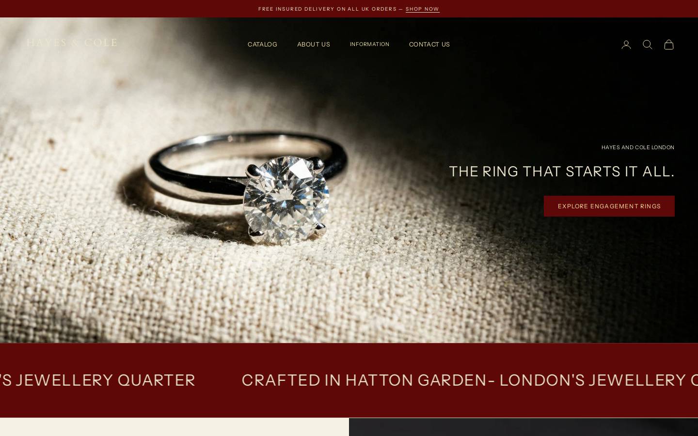 hayesandcole.com homepage screenshot