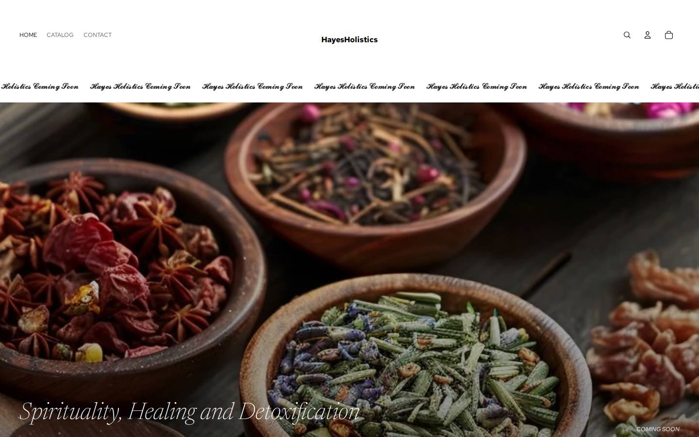 hayesholistics.com homepage screenshot