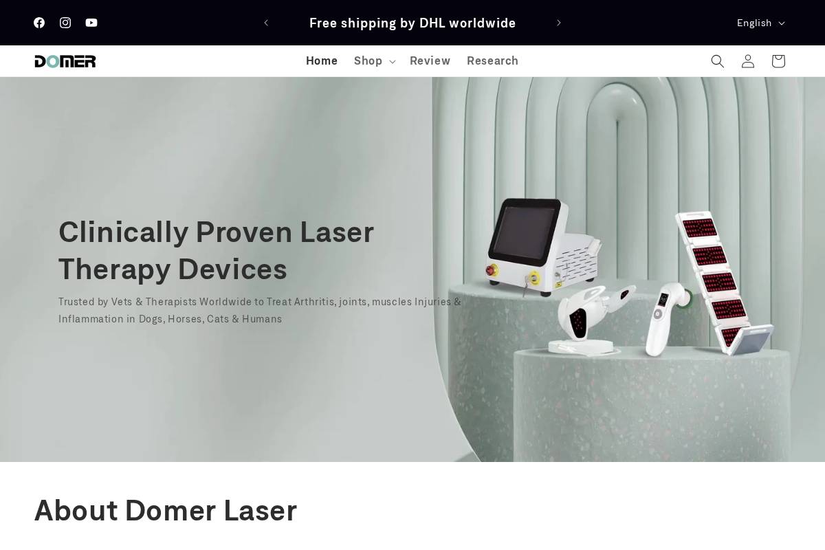 Domer Laser homepage screenshot