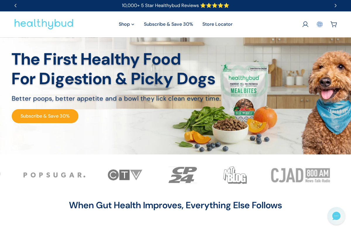 Healthybud homepage screenshot