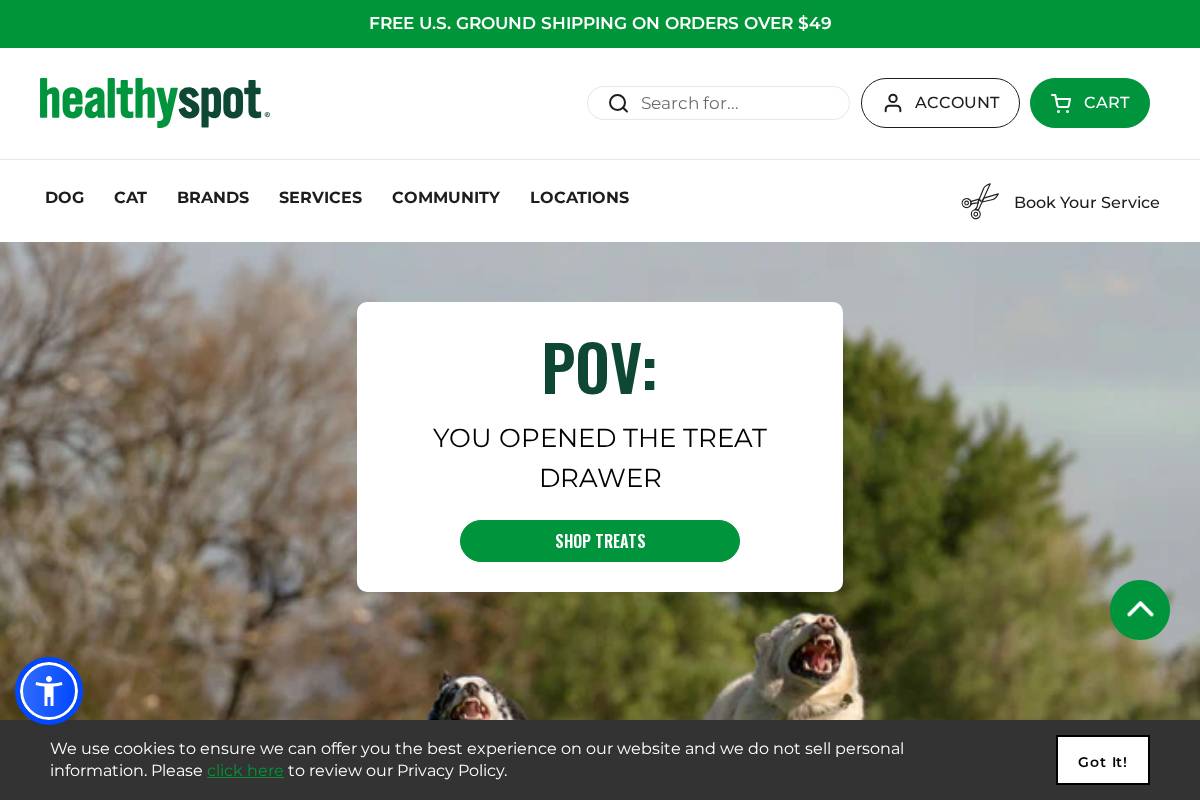 healthyspot.com homepage screenshot