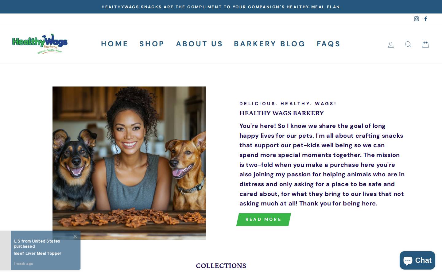 healthywagsbarkery.com homepage screenshot