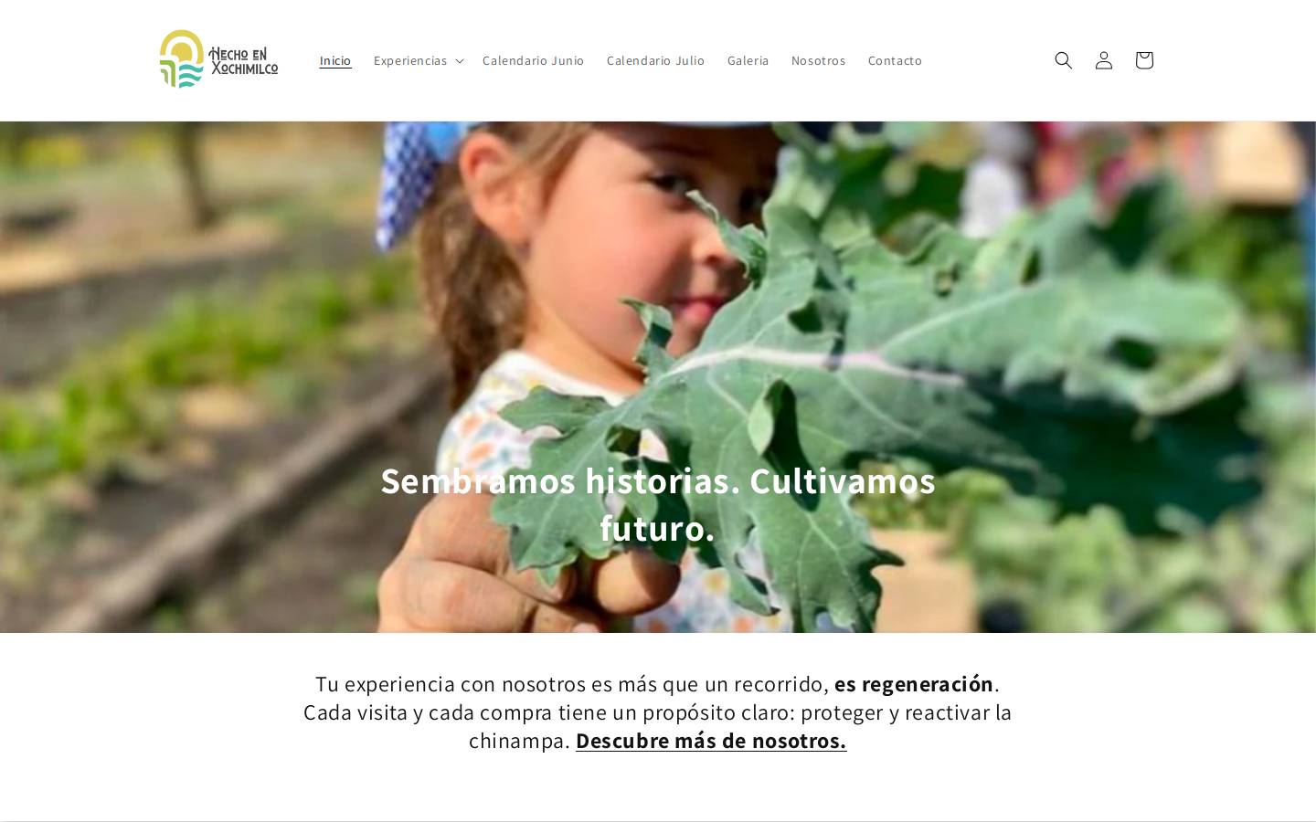 hechoenxochimilco.com homepage screenshot
