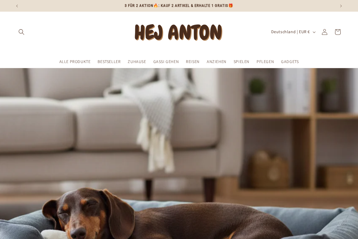 hejanton.de homepage screenshot