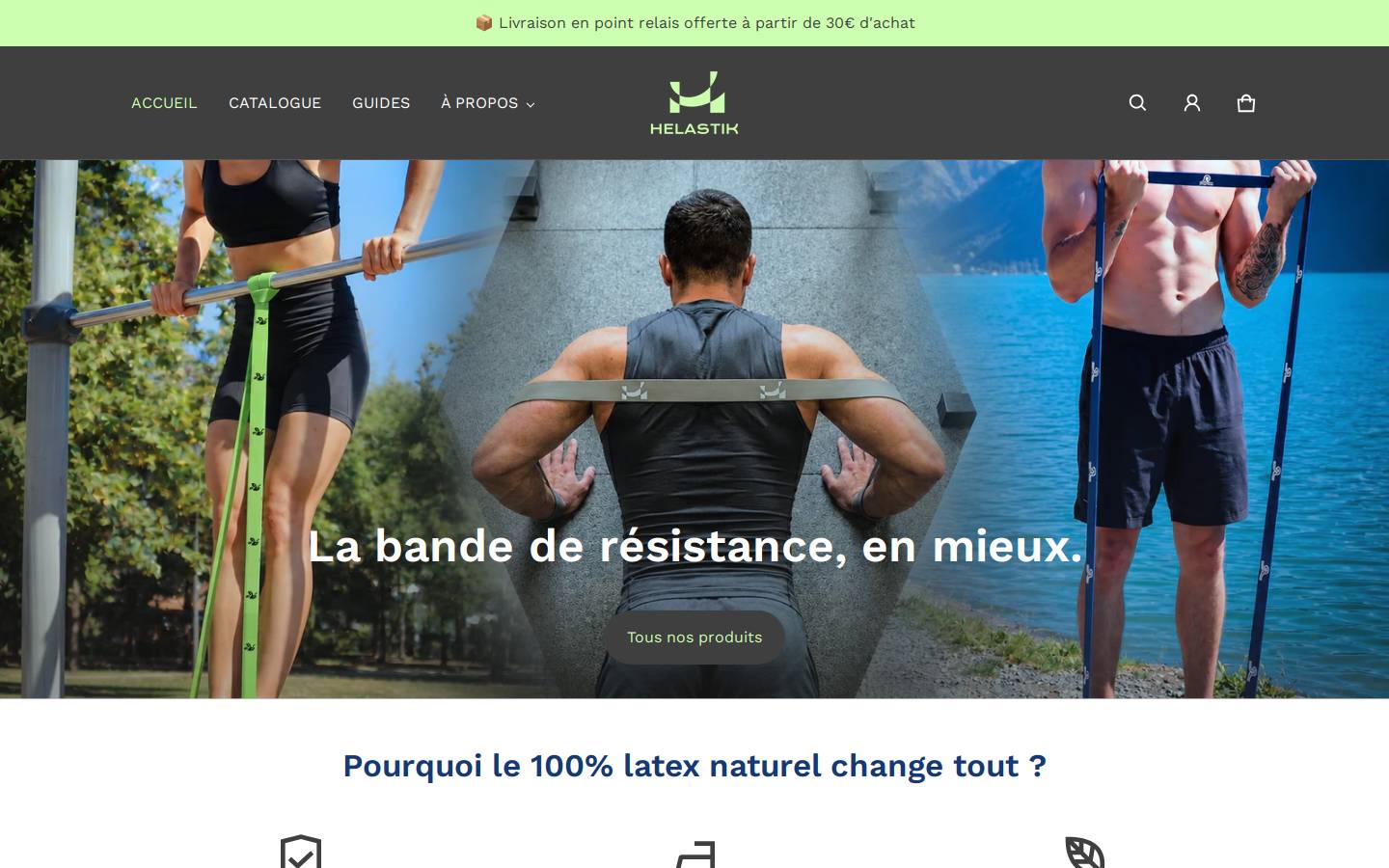 Helastik homepage screenshot