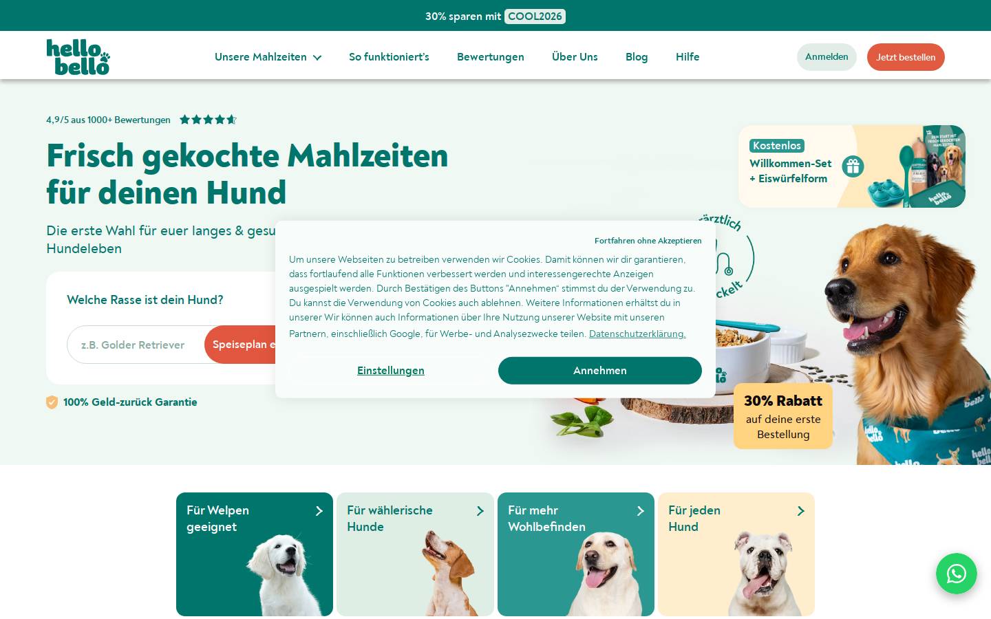 HelloBello homepage screenshot