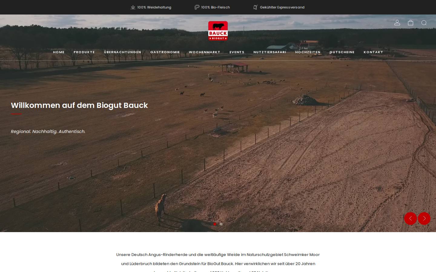 henning-bauck.de homepage screenshot