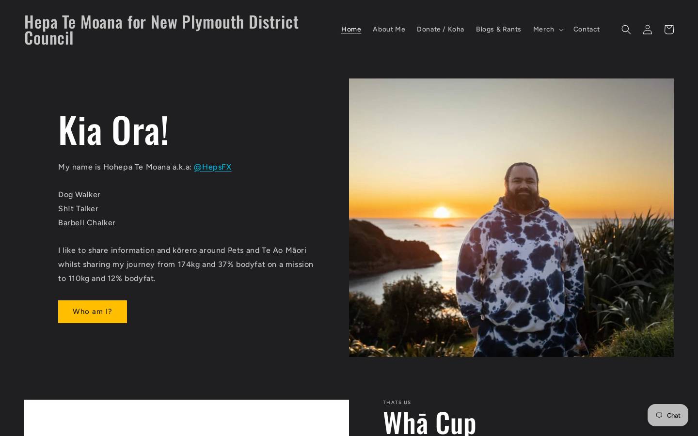 hepa.co.nz homepage screenshot