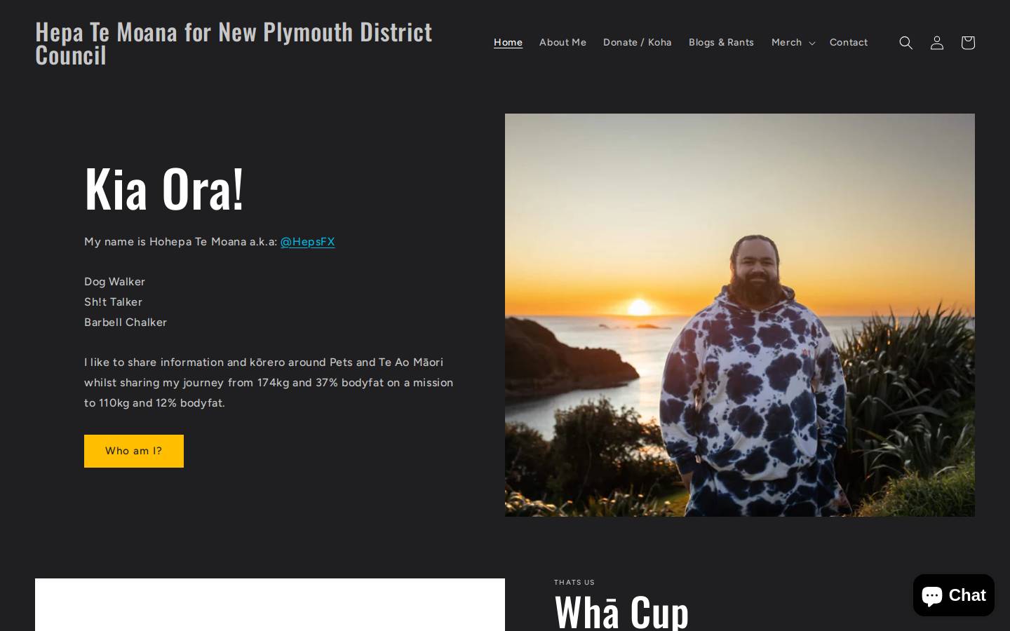hepa.nz homepage screenshot