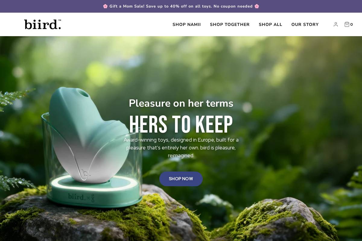 heybiird.com homepage screenshot