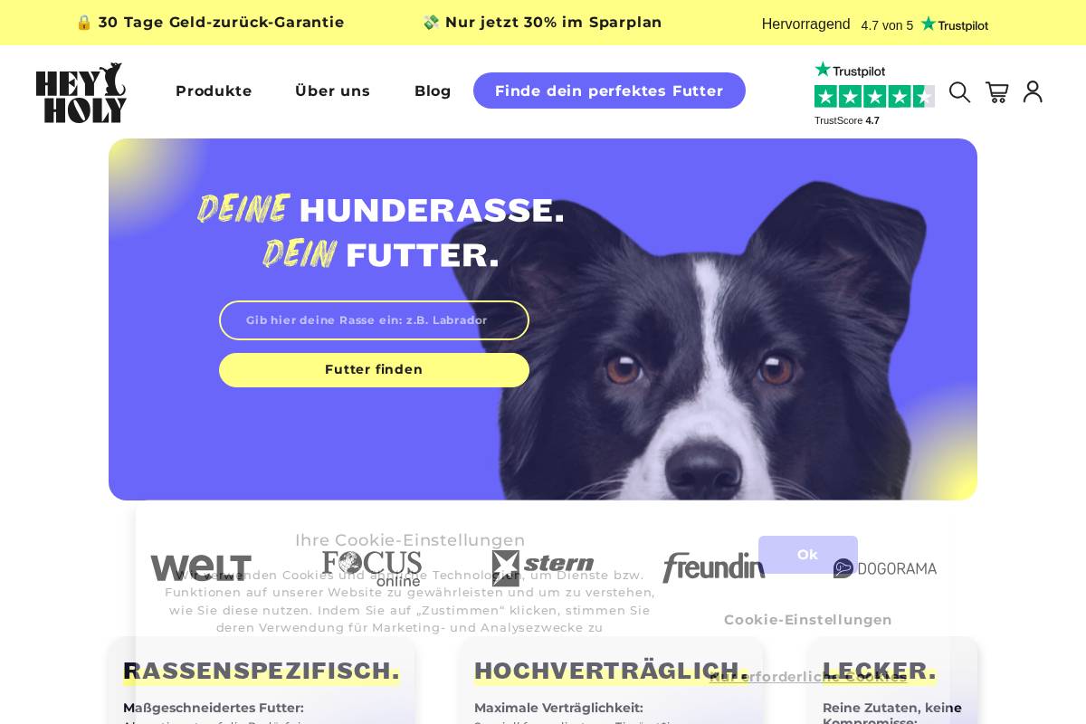 HEY HOLY homepage screenshot