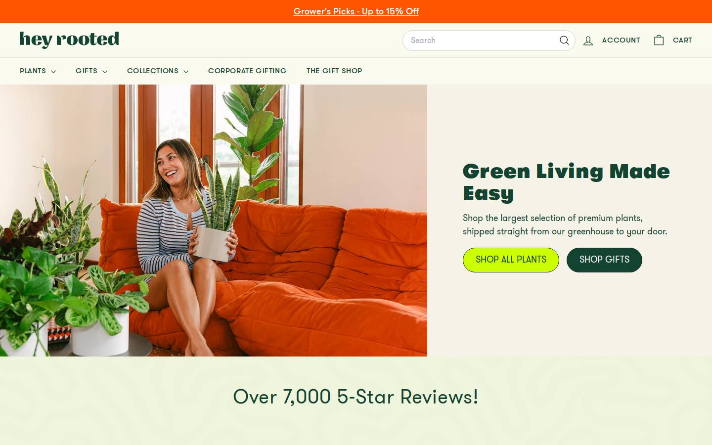 Hey Rooted homepage screenshot