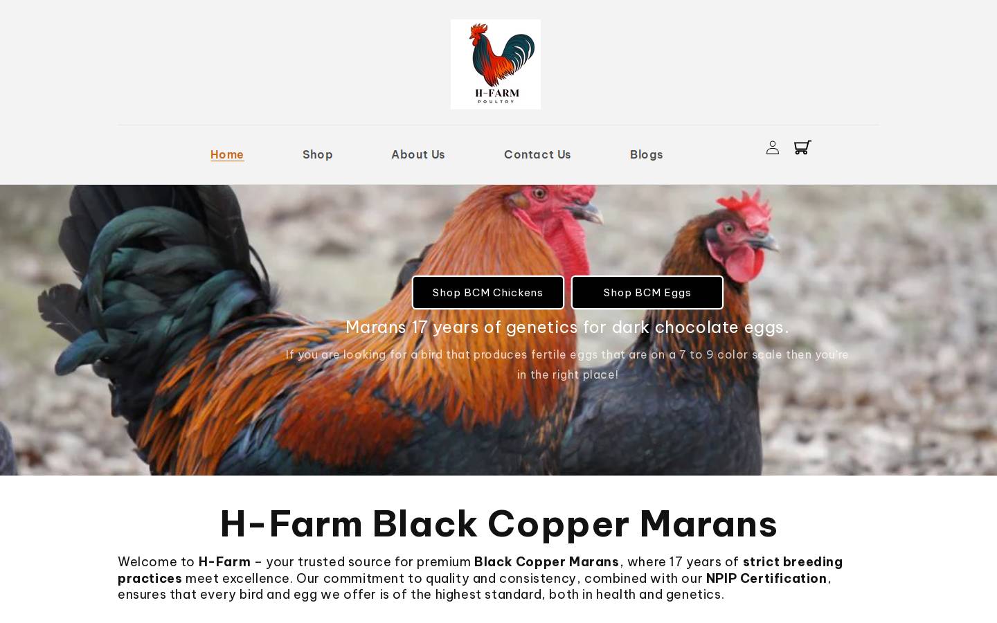 hfarm-ok.com homepage screenshot