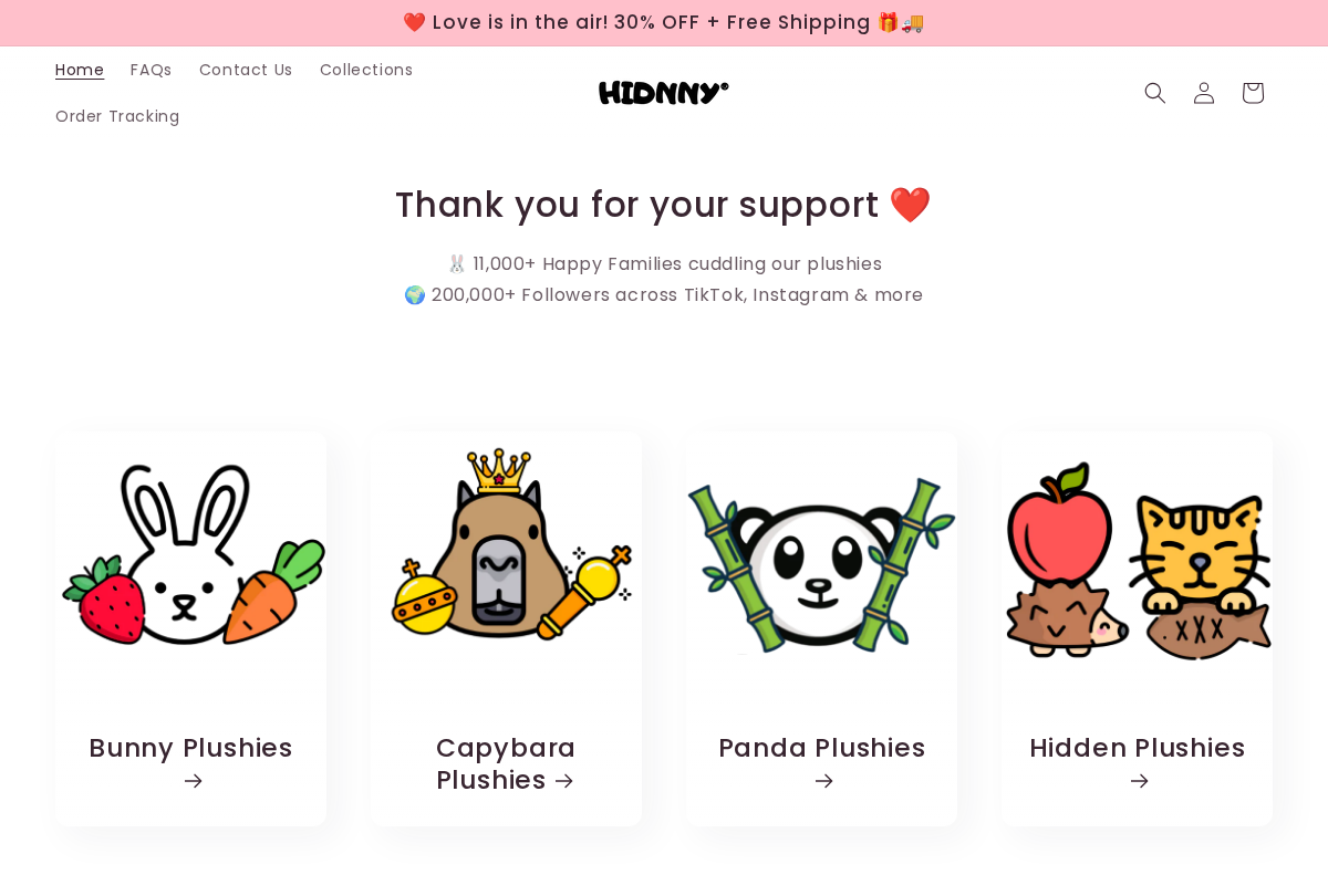 Hidnny homepage screenshot