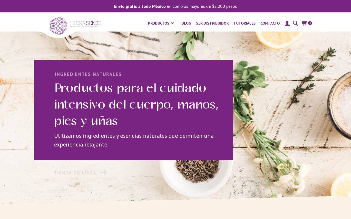 hidrasense.com.mx homepage screenshot